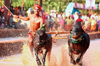 Kambala:  Season begin from Sunday November 29 at Bangadi Kolli in Belthangadi